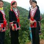 Ha Jian Mien 9